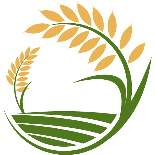 穆帅：对阵葡乙球队时球员态度不端正，中场休息我想换9个人（穆里尼奥：面对葡乙对手队员态度欠佳，半场我想换掉9人）